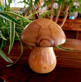 Poivrières champignon (pièces uniques)